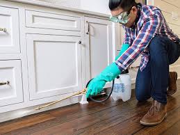 Best Pest Prevention Services  in West Carrollton, OH